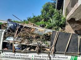 Best Hoarding Cleanup  in Ajo, AZ